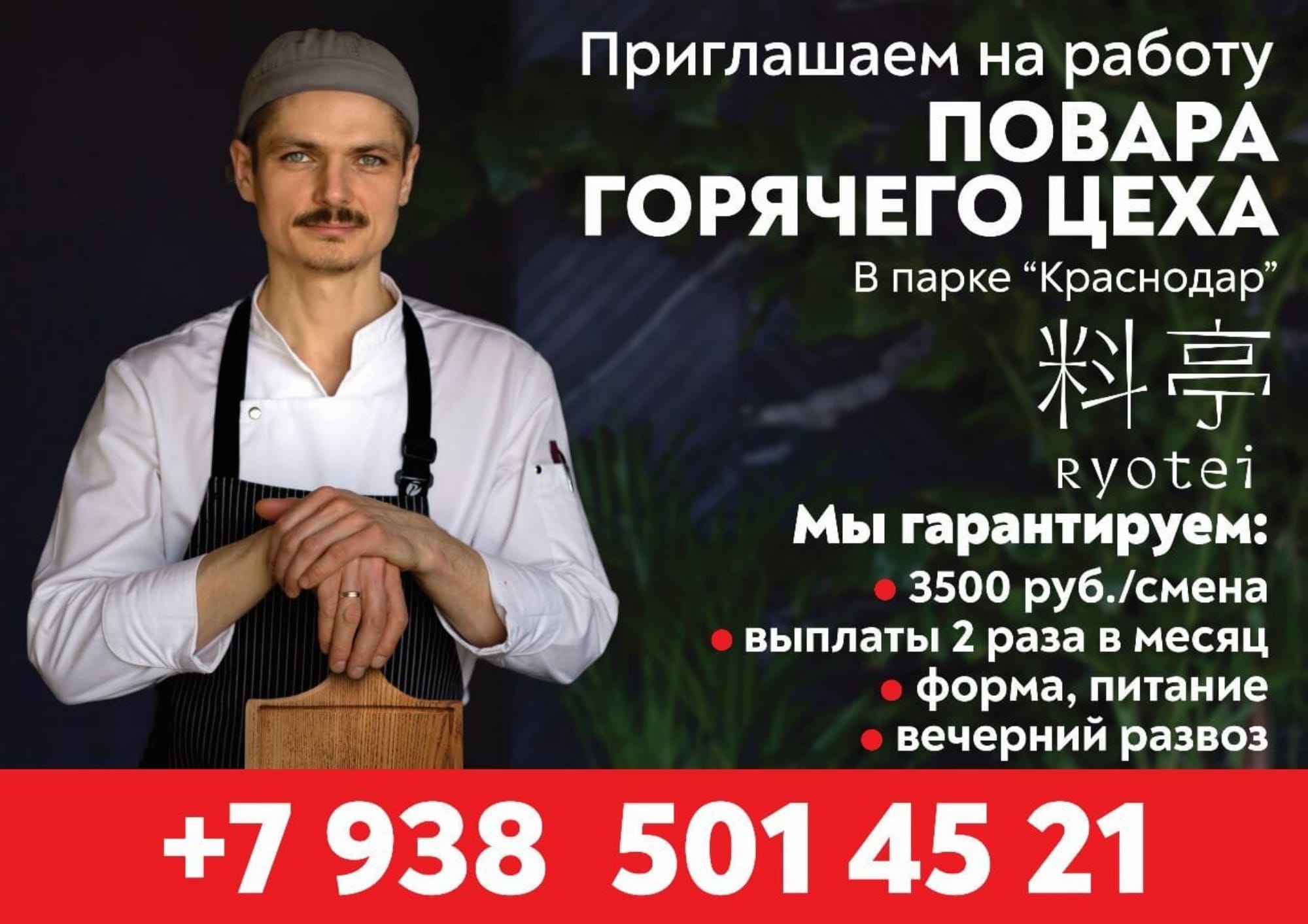 Рисунок: /center-of-professional-orientation-and-employment-promotion/повар.jpg